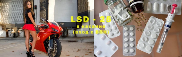 прущие грибы Богородицк