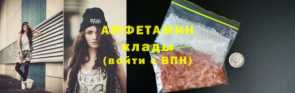 прущие грибы Богородицк