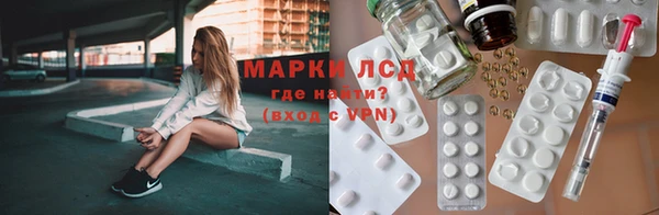 прущие грибы Богородицк