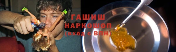 прущие грибы Богородицк