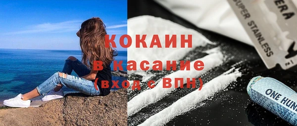 прущие грибы Богородицк