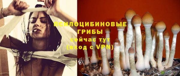 кокаин VHQ Богданович