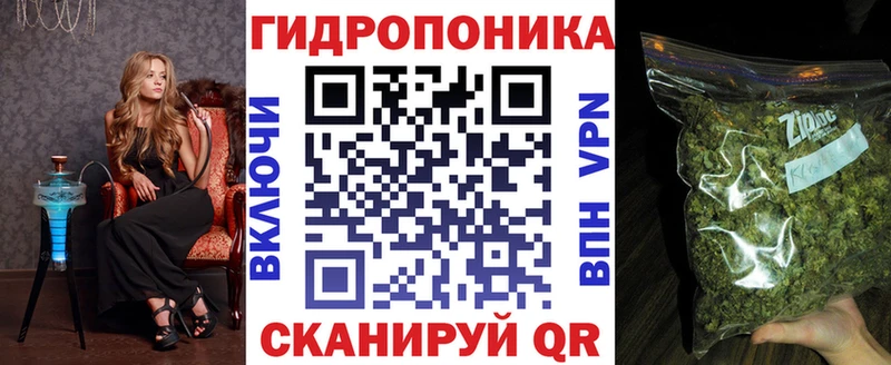 Конопля VHQ  Афипский 